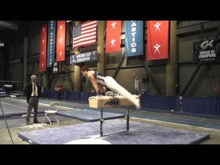 Paul Ruggeri - Pommel Horse - 2013 Winter Cup Finals