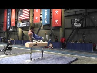 Sean Melton - Pommel Horse - 2013 Winter Cup Finals