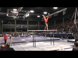 Masayoshi Mori - Parallel Bars - 2013 Winter Cup Finals