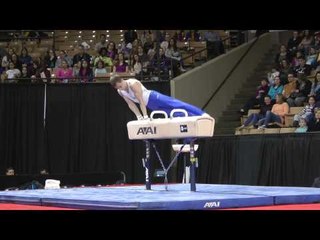 Oleg Verniaiev - Pommel Horse - 2013 AT&T American Cup