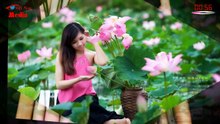 Liên khúc nhạc trữ tình hay nhất