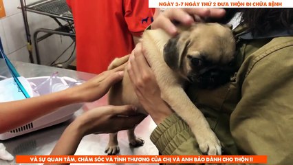 TIN RẤT BUỒN VỀ THỘN - NHẬT KÝ CỦA THỘN