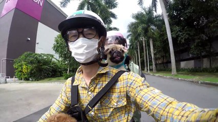 ĐƯA THỘN VÀ THỐN ĐI SPA - CẠO LÔNG CHO THỐN