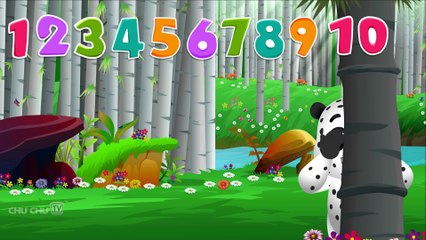 Finger Family Panda  ChuChu TV Animal Finger Family Songs & Nursery Rhymes For Children