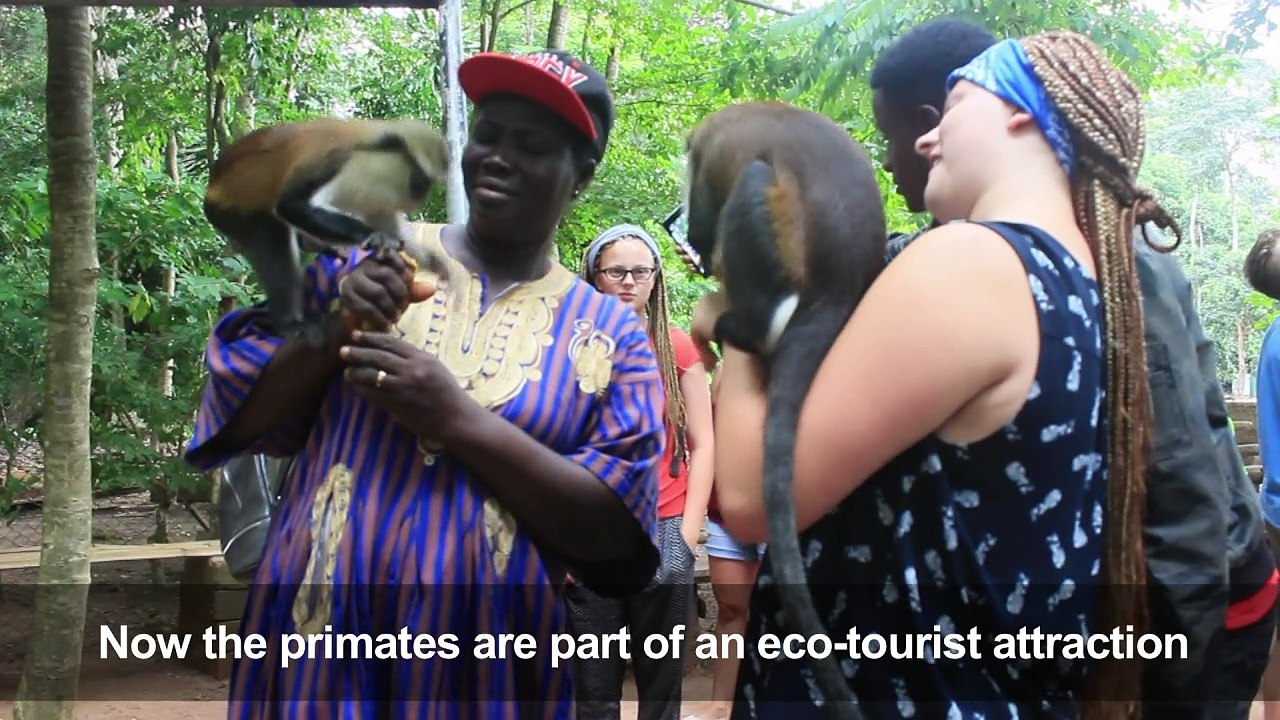 Ghanaian villagers profit from monkey business