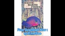 Exotic Marine Fishes