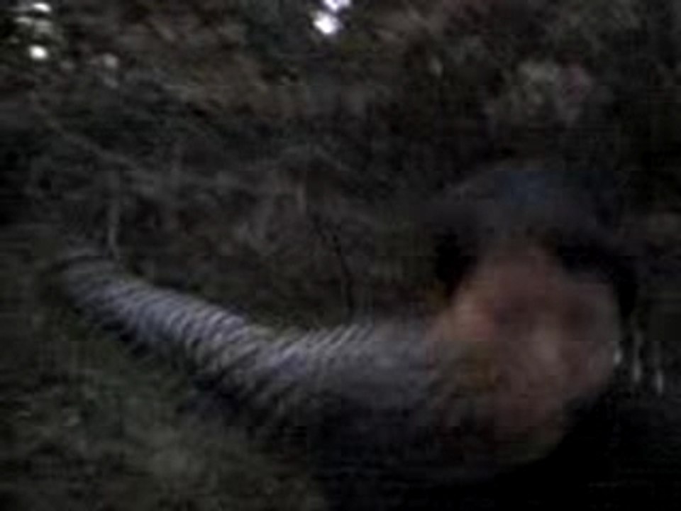 MOV00007
