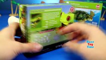 Wild Zoo Animal Educational Toys │Learning Animals Videos For Kids