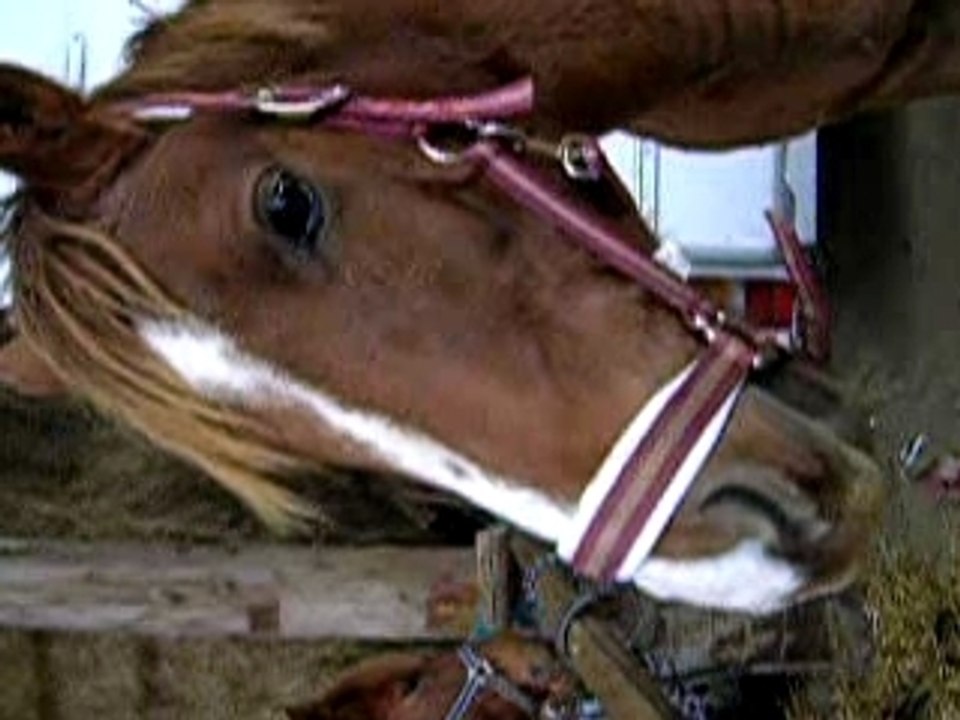 Kiops <3