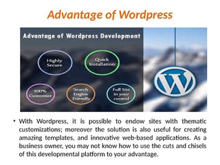 How to Choose an Efficient Wordpress Development Company in India