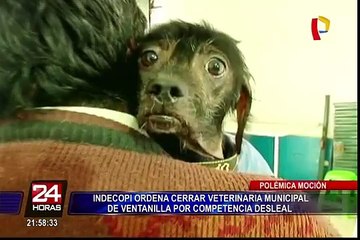 Municipios rechazan orden de Indecopi que intenta cerrar veterinarias distritales