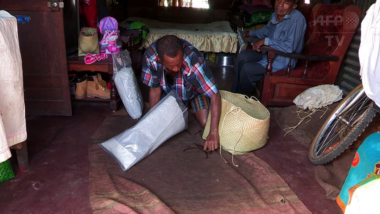 Vanille-Krieg in Madagaskar