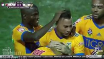 Eduardo Vargas Goal ~ Tijuana vs Tigres 0-1