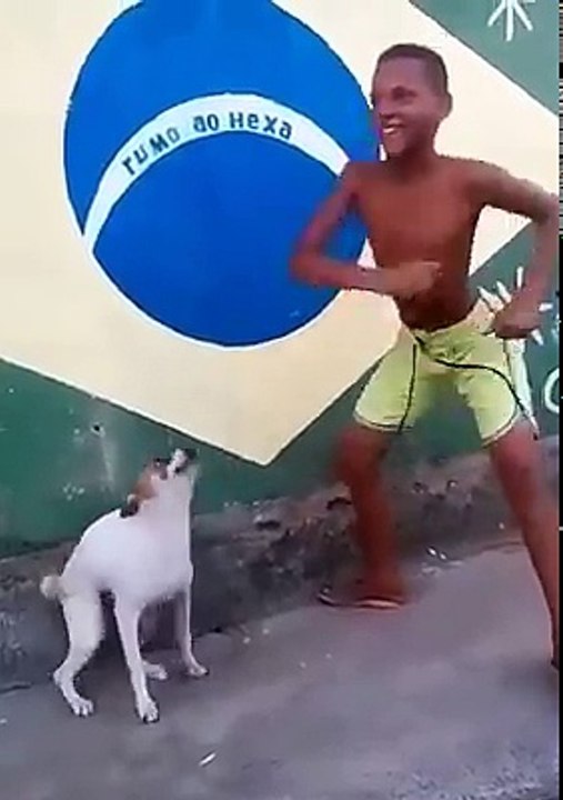 cute dog dancing