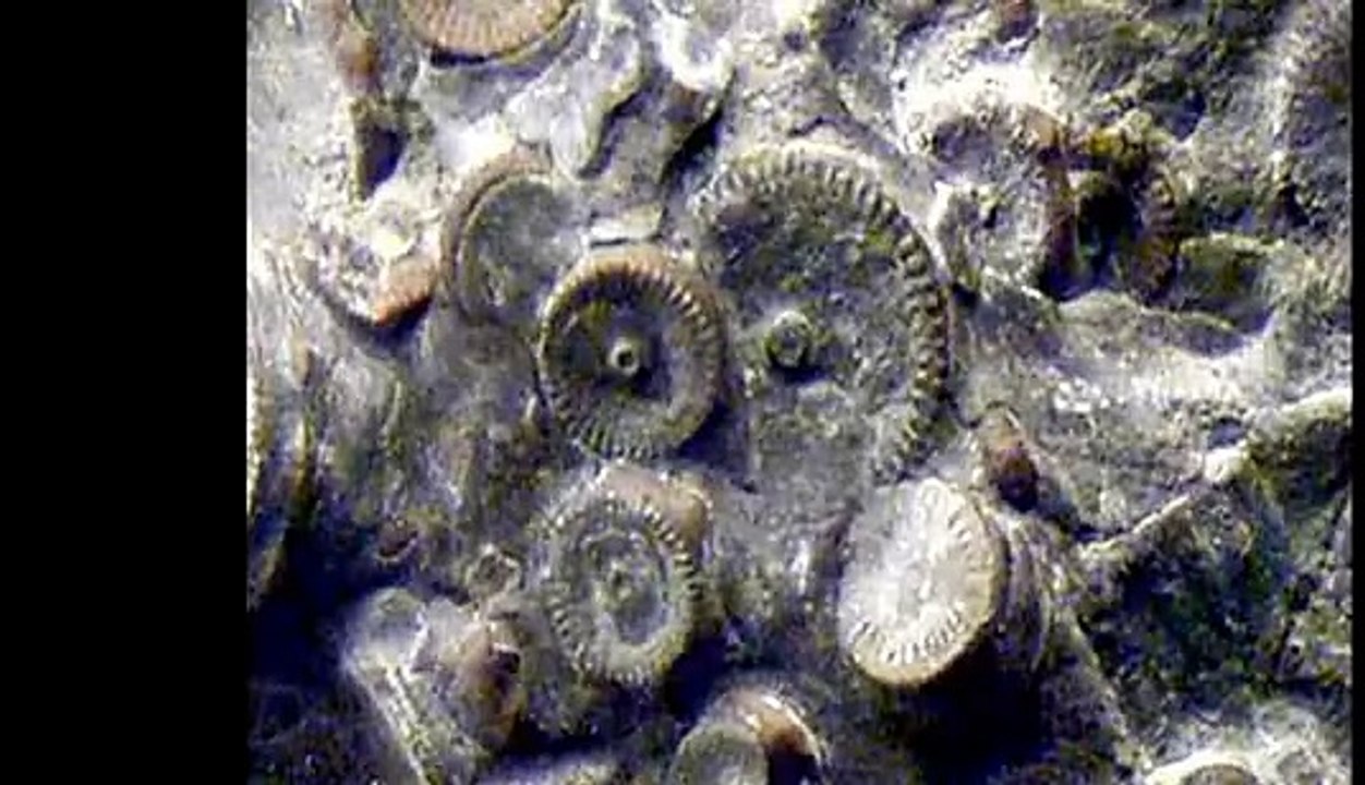 400 years Old Machine Found in Russia