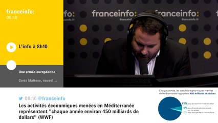 Pour l'économiste Elie Cohen, pas de doute : "C'est Siemens qui rachète Alstom"