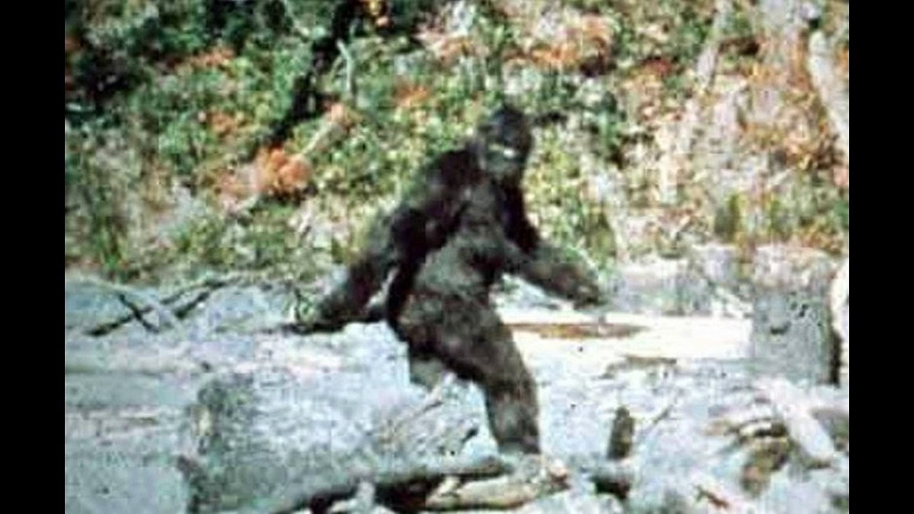 4 MONSTRUOS REALES CAPTADOS EN CAMARA