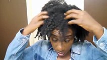 A Defined Flat Twist Out Tutorial on 4c Natural Hair in 5 Easy Steps | Hairstyle