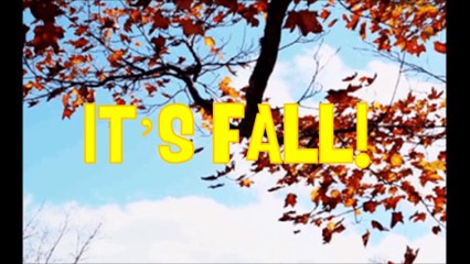 Dental Services in Ashburn | Get Your Teeth Ready for Fall and Winter