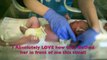 Babys First Bath in Hospital - Umbilical Cord Care - How To Bathe a Newborn - Infant Care
