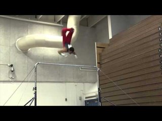 Sean Melton - High Bar - 2013 Men's National Qualifier