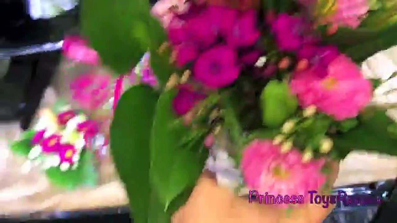 Princess Pham Baby Boy Hunter Surprise Arrival with Princess T IRL Vlog for Kids ToysReview