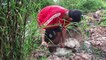 How To Build Fish Trap By 9 Bambo With Deep Hole