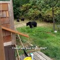 Il demande calmement à ces ours de quitter son jardin... Et ils le font!