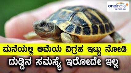 Tortoise Idol keeping at home gives lot of benefits | Oneindia Kannada