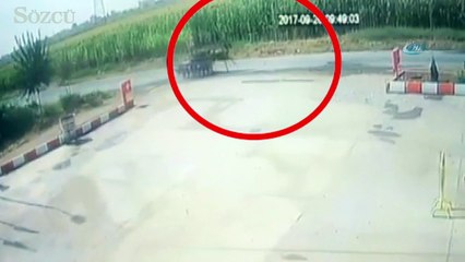 Kadın düştü, at arabası yoluna devam etti