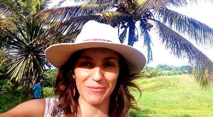 Je finalise en Martinique une enquête sur le tourisme durable pour un Guide