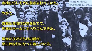 「日本人を救え！」2万人のユダヤ人を動かした将軍がとんでもない！【海外の反応 日本人に誇りを!】