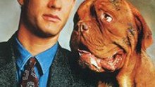 Turner & Hooch full movie" HD