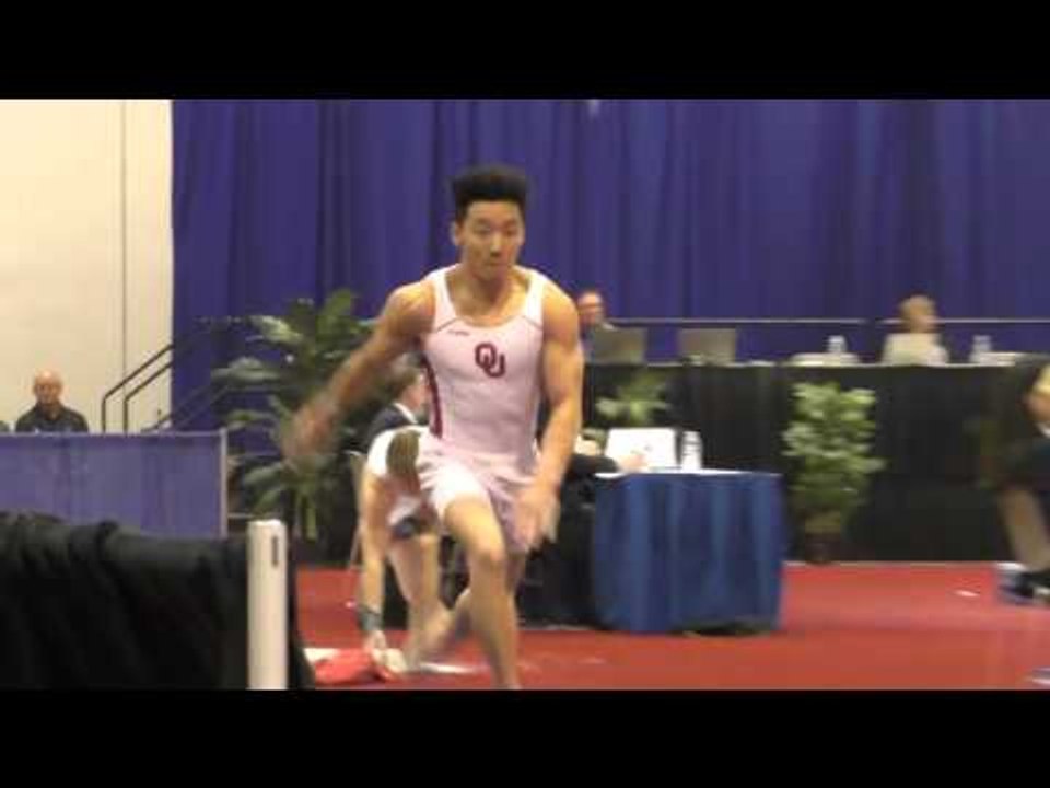 Kanji Oyama - Vault - 2016 Winter Cup Finals