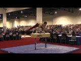 Ellis Mannon - Pommel Horse - 2016 Winter Cup Finals