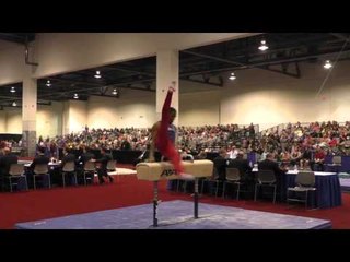 Joshua Dixon - Pommel Horse - 2016 Winter Cup Finals