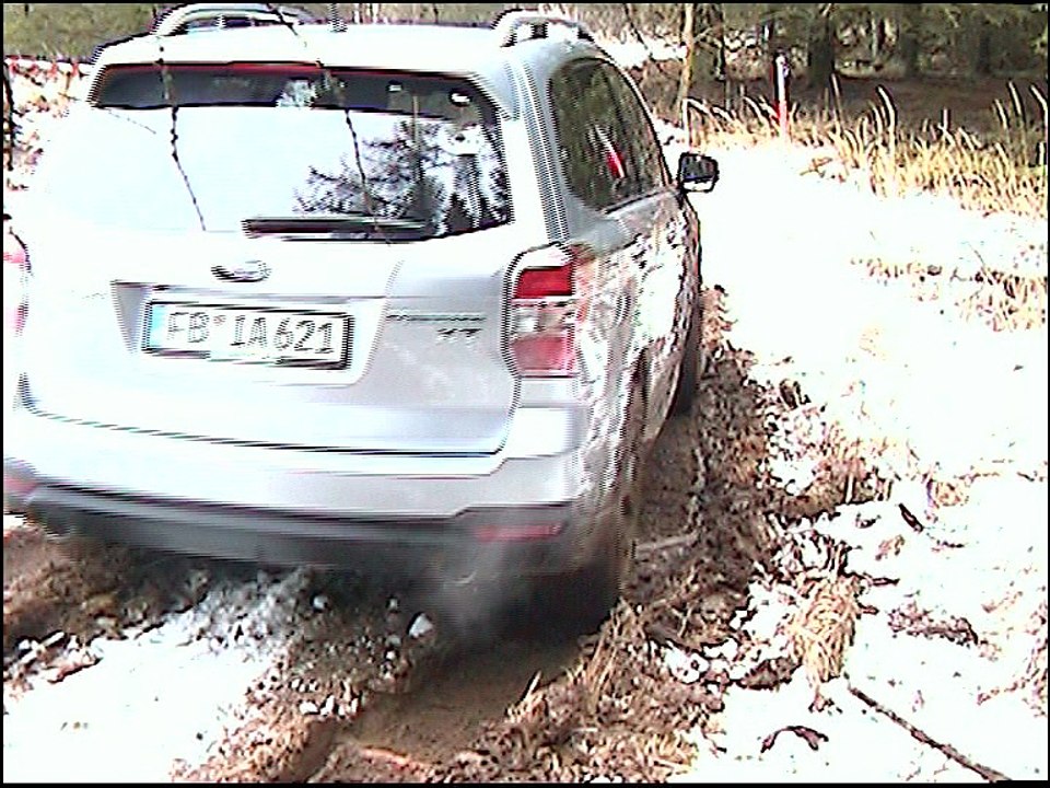 Onlinemotor Subaru Forester XT (4) offroad