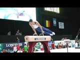 Alex Naddour - Pommel Horse - 2013 World Championships - Qualification