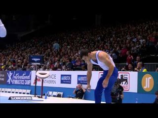Men's Parallel Bars Final - 2013 World Championships