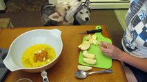 Homemade Dog Treats Pumpkin Apple Pup Cakes Recipe | Snacks with the Snow Dogs 9
