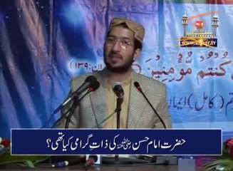 حضرت امام حسن رضی اللہ عنہ کی ذاتِ گرامی کیا تھی؟