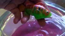 Robo Fish LED Lights Up Glower | Roboterfisch ♥ Review & Vorführung