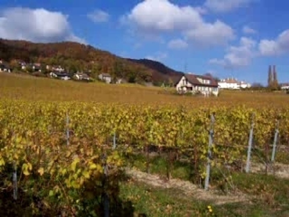 BEGNINS VINZEL SUISSE