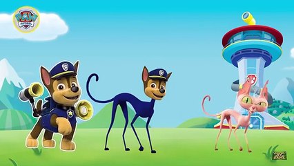 Paw Patrol Transforms Into The Secret Life of Pets | Paw Patrol Finger Family Nursery Rhyme Songs