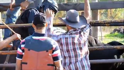 RODEIO EM TOUROS - Treino Cia Sol Nascente