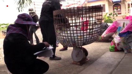 "La basura es dinero", el reclamo para promover el reciclaje en Tailandia