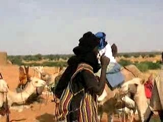 Balade avec Chameaux