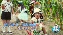 小手牵小狗20170926 1/2