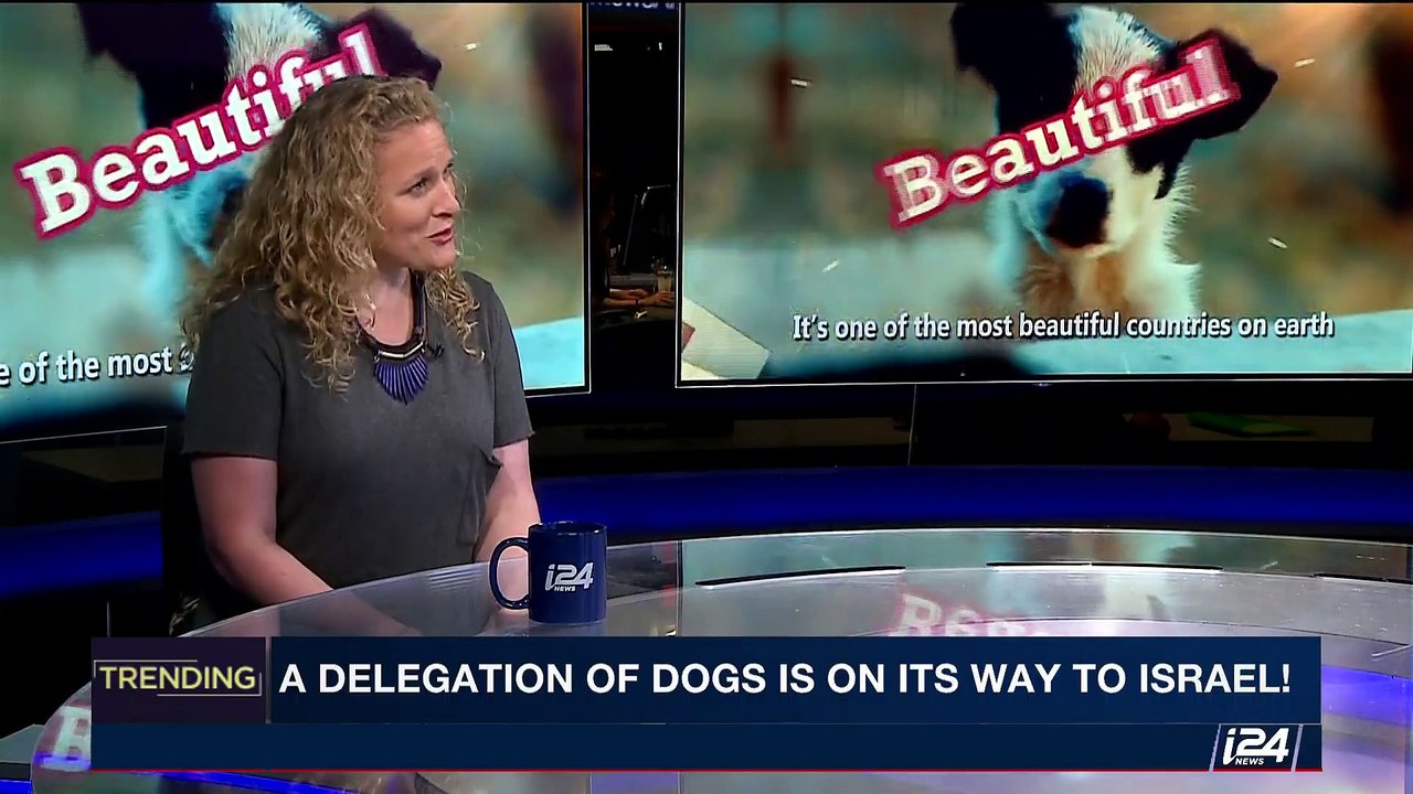 TRENDING | Win a trip to Israel with your 'best friend' | Wednesday, September 27th 2017