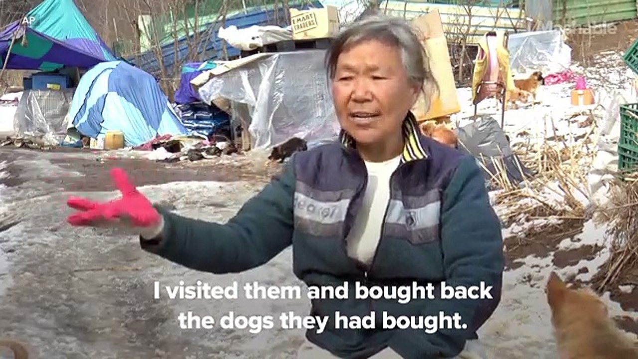 Découvrez l’histoire émouvante de cette femme qui a passé sa vie sauver des chiens !